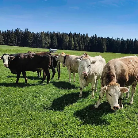 Bauernhof Krotz Hase Διαμέρισμα Steingaden